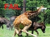Epic Fail