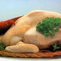 chicken